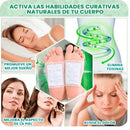 Parches Kinoki Desintoxicación 🌿🔥 ¡PAGA 2 Y LIÉVATE 6! [últimas unidades] 🔥